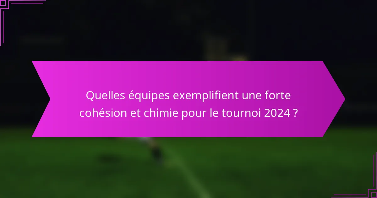 Quelles équipes exemplifient une forte cohésion et chimie pour le tournoi 2024 ?